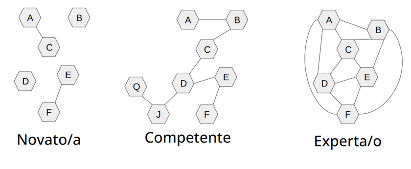 experto